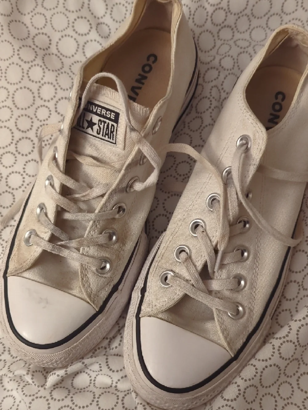 Converse Low-Top Canvas Sneakers in White with Black Logo